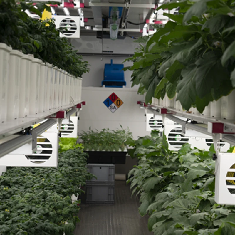 Medical Plants Growing Box 40HQ Container Farming Vertical Farm Equipment