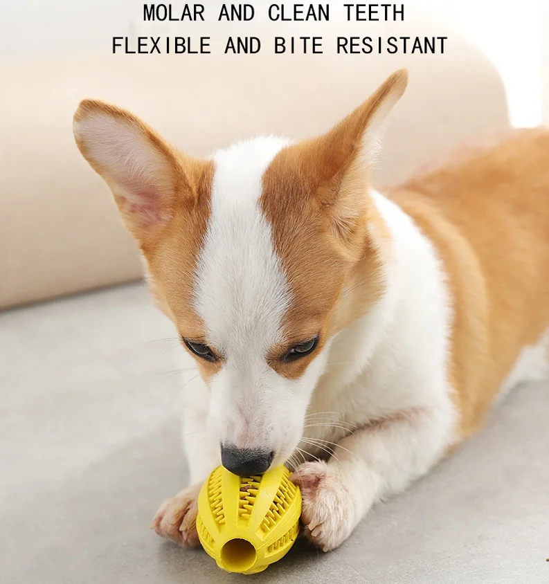 
Kimpets Wholesale 7CM Durable Food Leak Pet Toys Ball Pet Teeth Cleaning Toy Rubber Dog Chew Toy Ball 