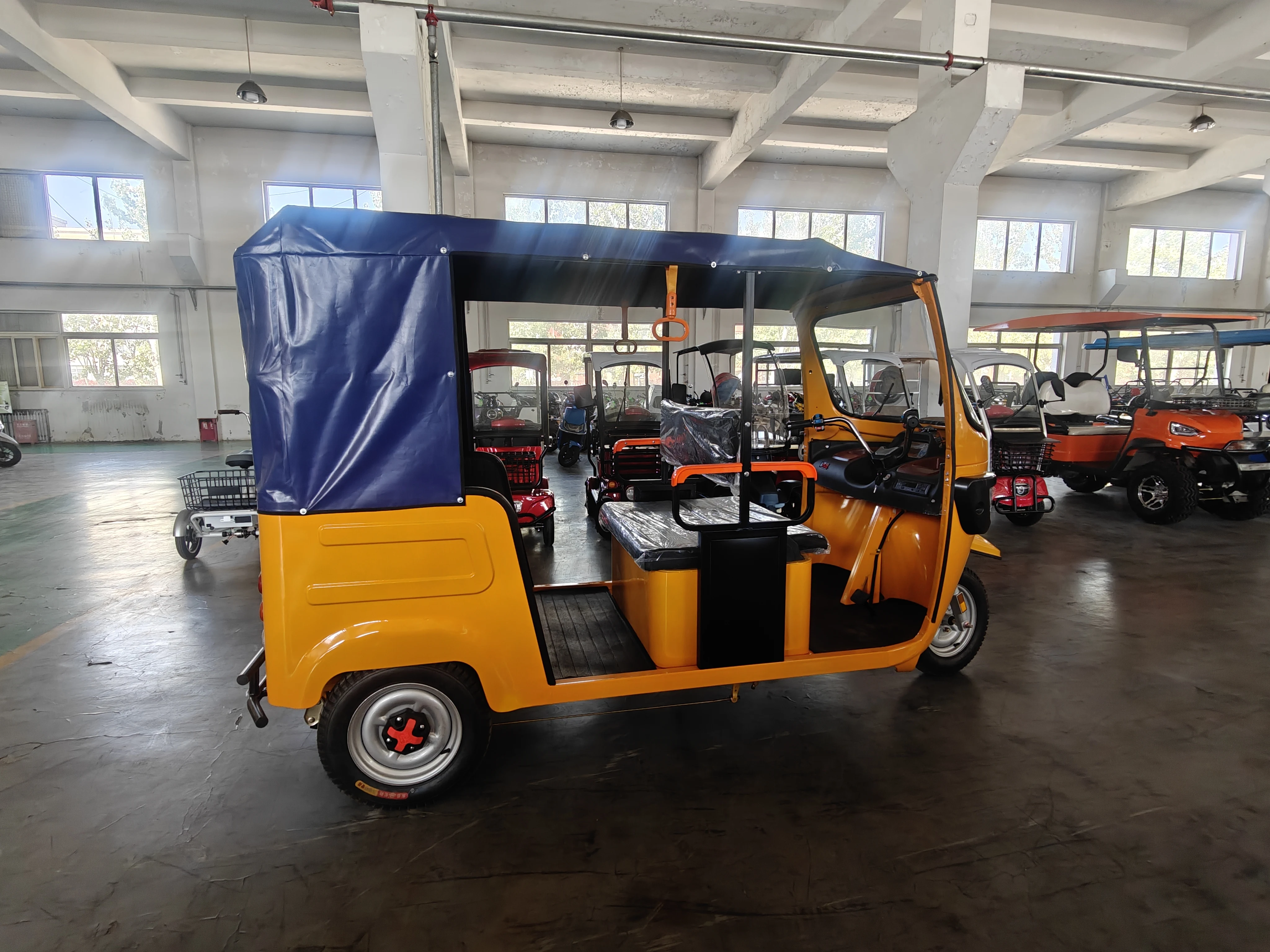 2024 Electric Tuk Tuk 2000W Direct sales Hot sell 2000 Watt Best Old Age E-bike Electric Tricycle Adult Tricycle