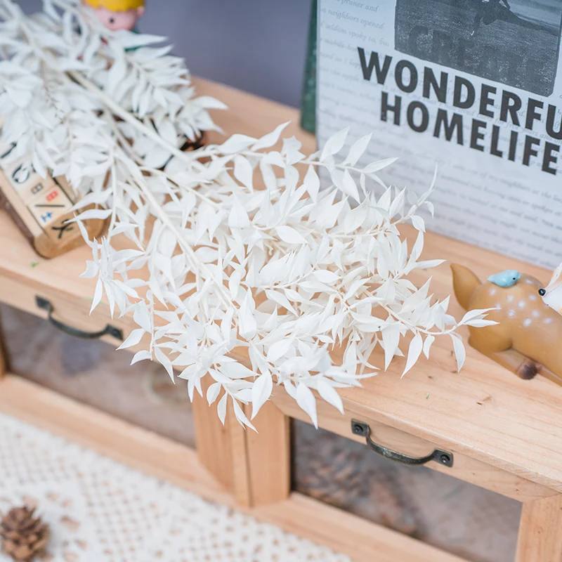 Factory Supply Preserved Flower dried flower Natural everlasting Foliage Preserved white Riches And Honour Leaf white