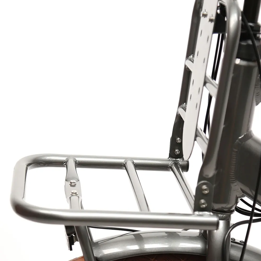 TXED 28 inch Amsterdam  inner 3-speed electric bike 250W  Lithium battery Electric City Bicycle