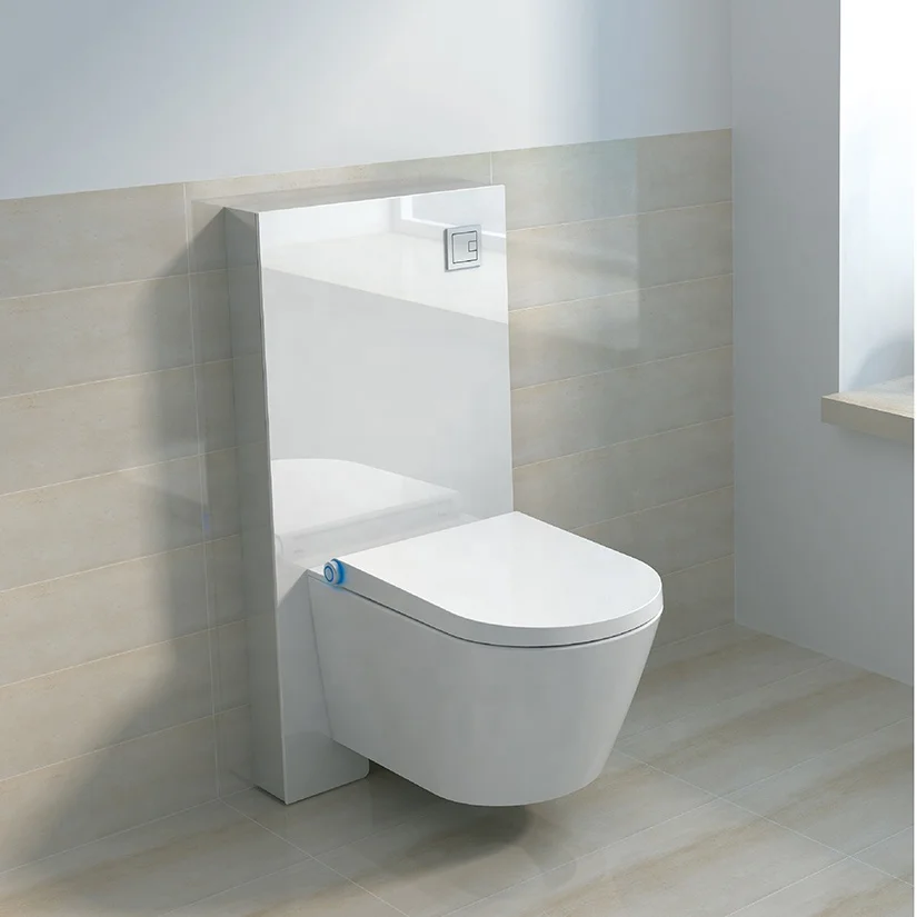 Good Price Factory Direct Toilet Seat Bathroom Wall Hung Shower Toilets Electronic Toilet For Sale