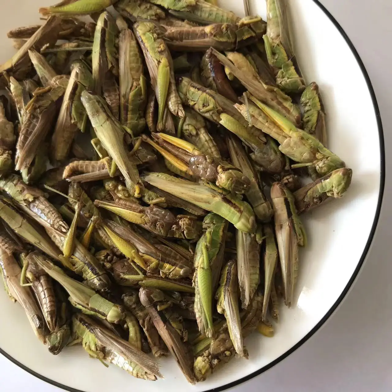 Locust Freeze Dried Grasshopper Edible Bug for Chicken Bird Pet