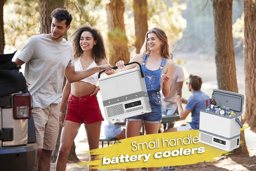 12 Volt Refrigerator Car Portable Refrigerator Single Zone Dual System Electric Cooler Fridge Camping Freezer