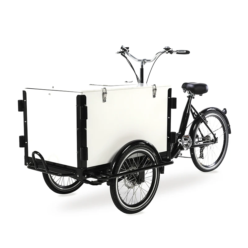 3 Wheel Cargo Bike Front Load with Cover Electric Tricycles