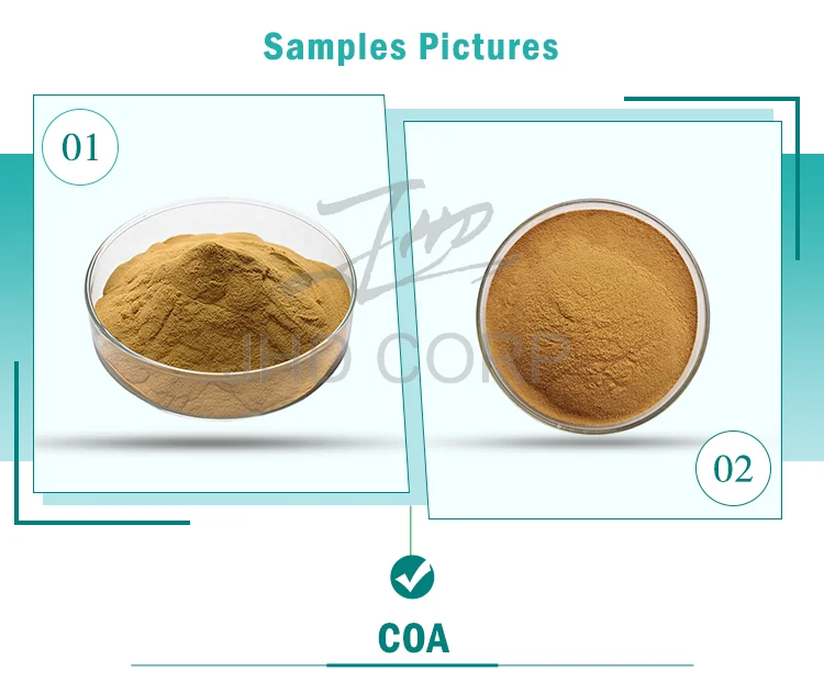 Best price pure damiana leaf extract Stimulate male hormones damiana extract