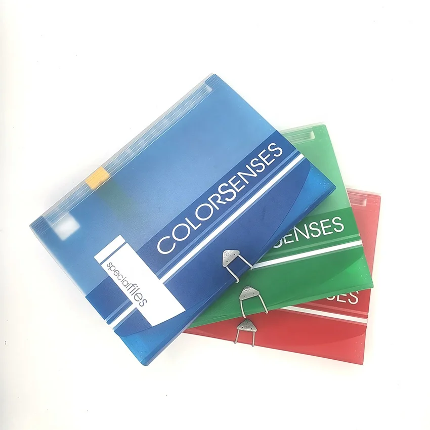 Wholesale A4 PP Silk-screen Printing Clear Expandable Organizer File Folder Box Filing Products