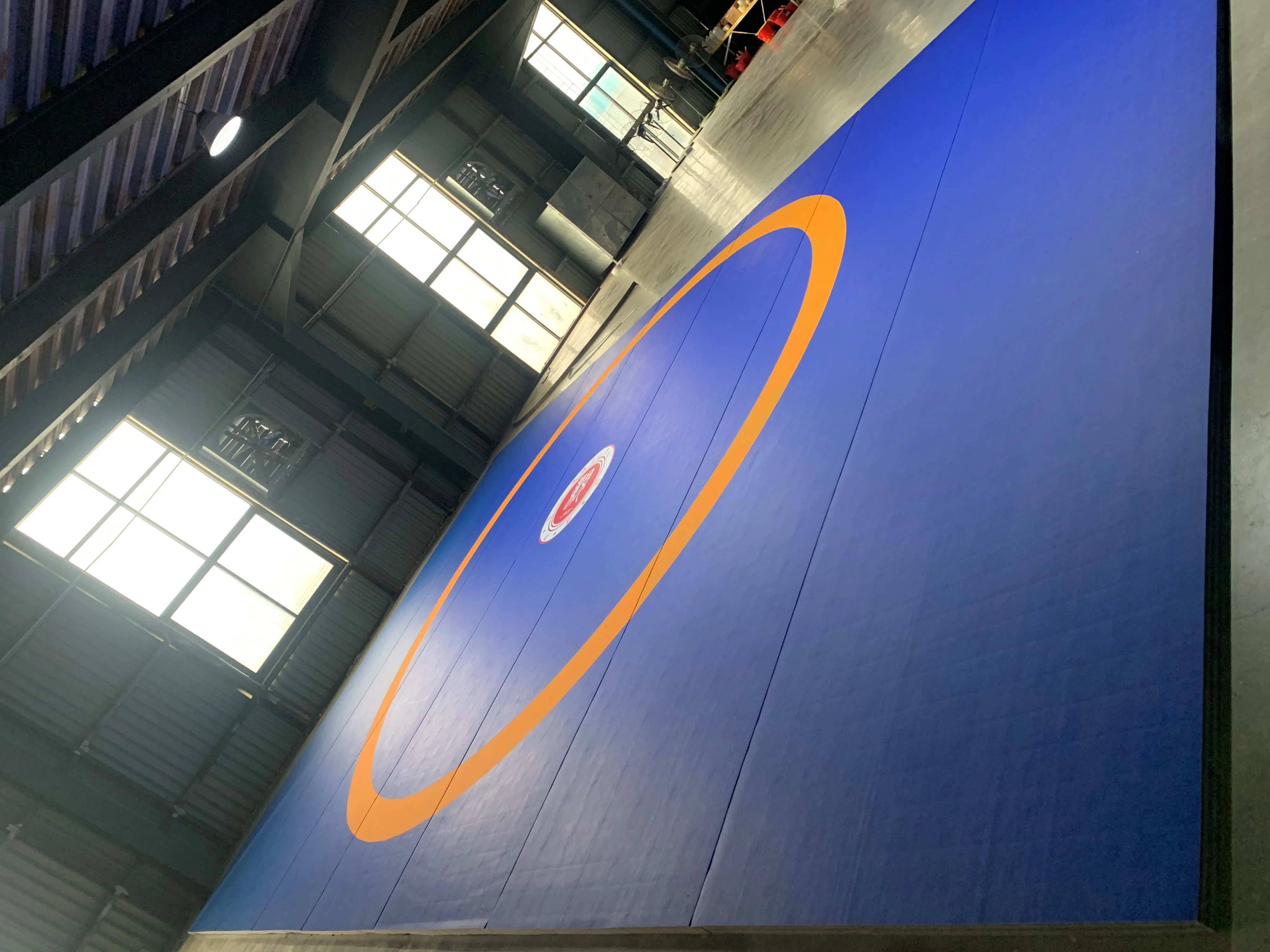 Cheap Rolled Tatami Wrestling Mats Rollout MMA Martial Arts Mat Gym Rollout Tatami Judo Mats