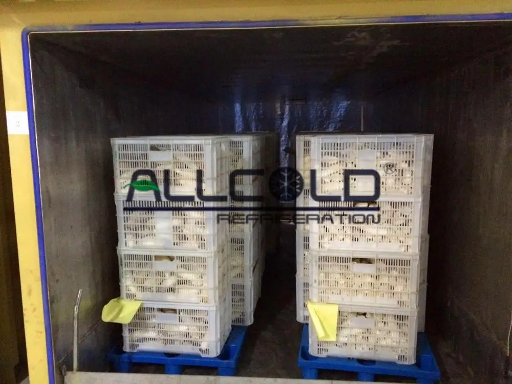 Fast pre-cooling of vegetables & herbs leaf vacuum cooler machine