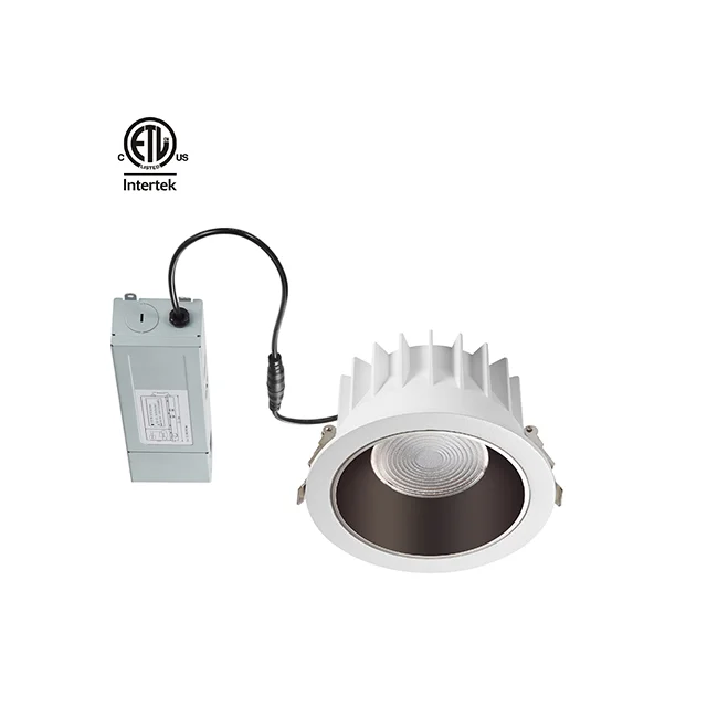 Vortex series 12W 20W 30W 40W 50W Led Wall Washer Downlight Adjust Hotel Lighting Ac Ceiling Downlight Led For Canada Usa Market
