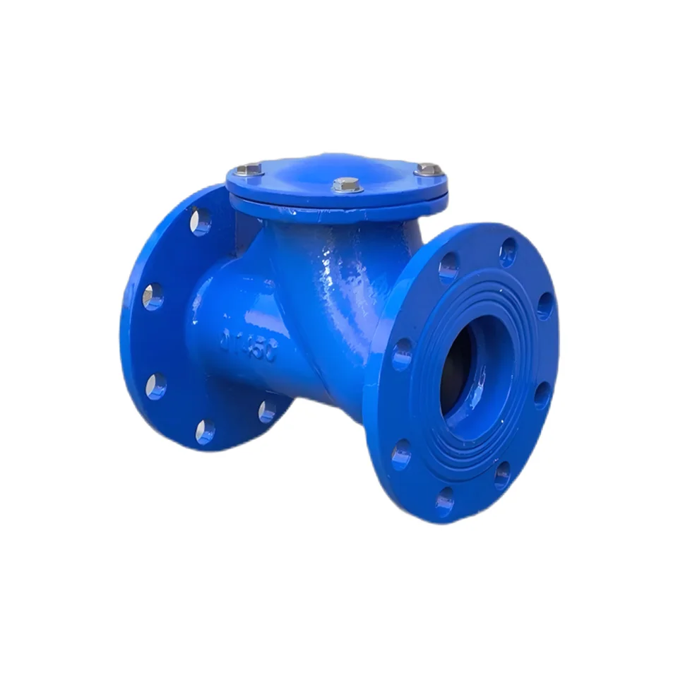 Durable Rubber Flap Check Valve Easy Installation Reliable Performance Fast Delivery-for Fluid Control Applications General