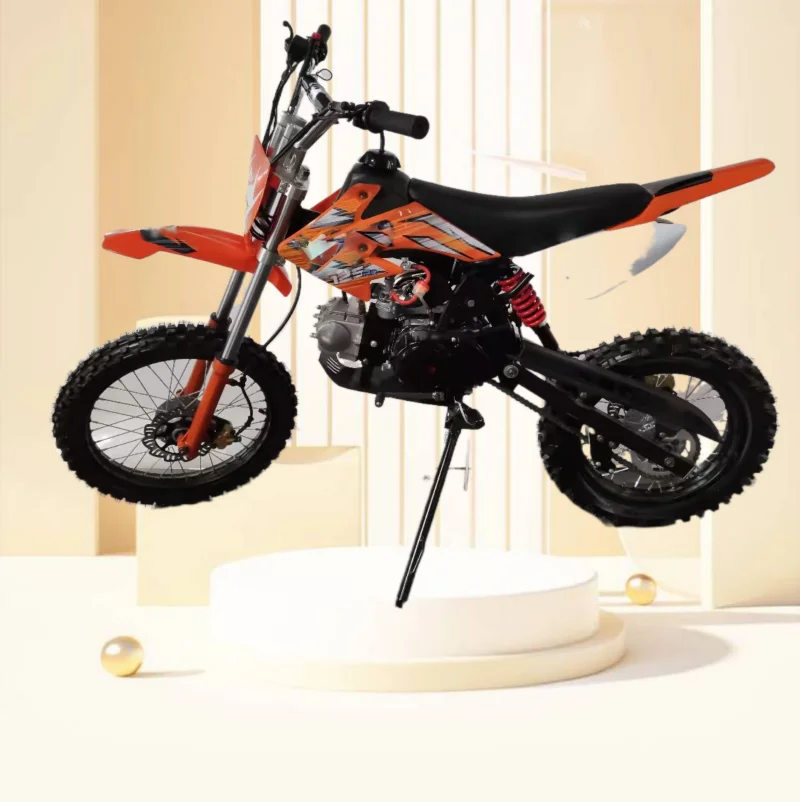 Motor 4 stroke 125cc Adult off road Dirt Bike with CE (D7-12E) motorcycle