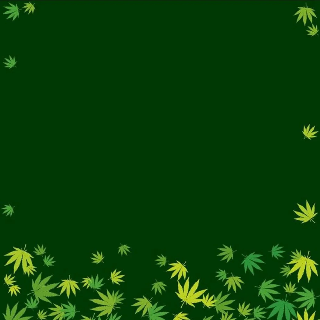 
Factory direct private custom label NON GMO hemp seed oil for healthy food 