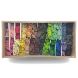 FREE SAMPLE OFFERING Natural Green Wall Decor FuncyFlora 500g Package Preserved Natural Moss