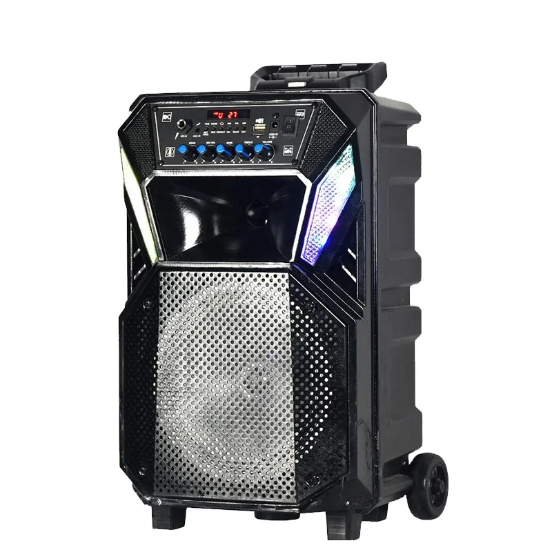 Custom own mold BT 8 inch portable bt speaker with wireless microphone