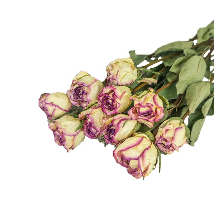 
Новый дизайн, красивые уникальные сушеные цветы, Роза для подруги на День святого Валентина, подарок и украшение для дома 