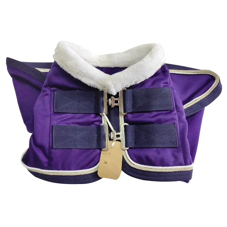 2023 New Style Standard High Quality 210D Fabric Sheet Fleece Blanket Horse Rug for Winter