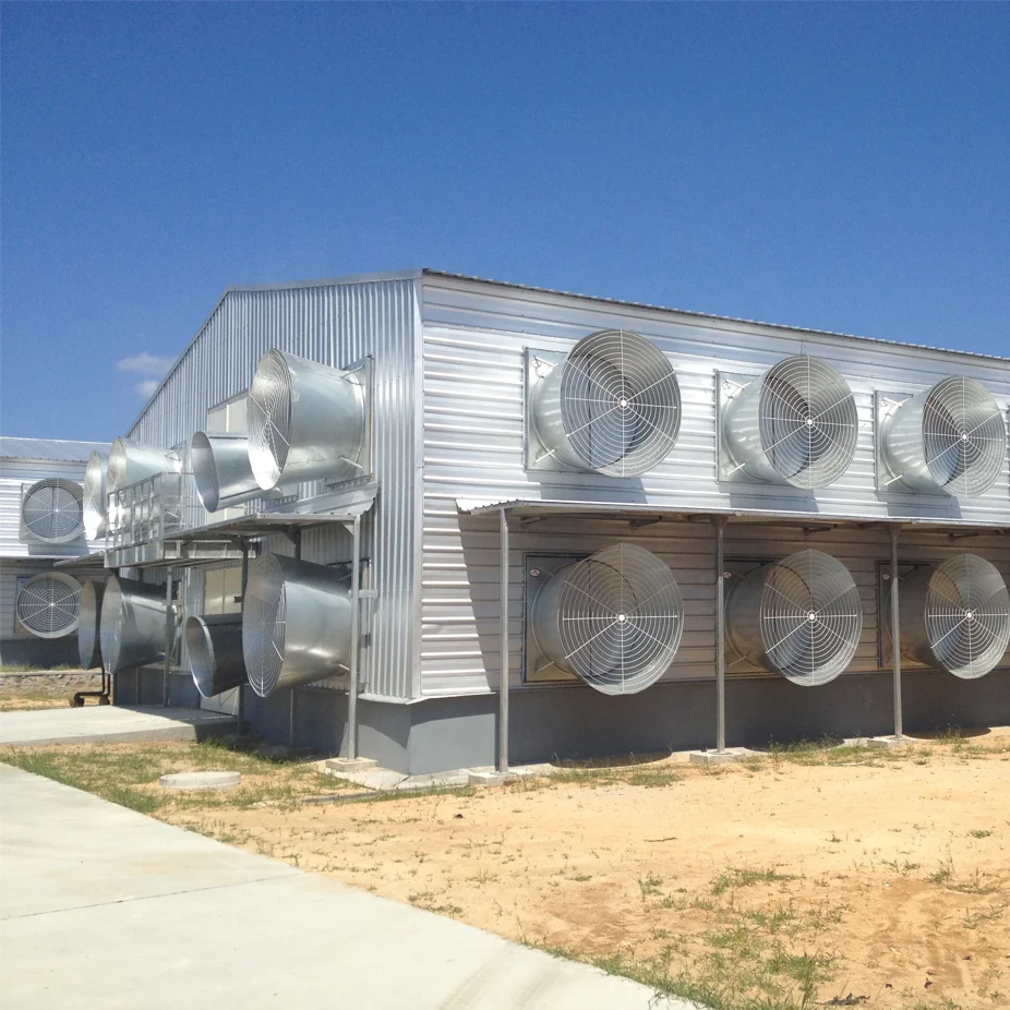 Алжирская птицеферма, строительное оборудование для домашней птицы, машина для производства корма для птицы