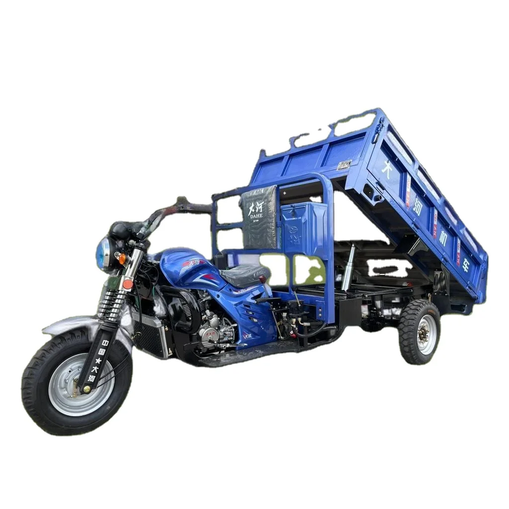 3 Wheel Gasoline Cargo Motorcycle 200cc Water Cooled Engine Single Hydraulic Transportation Tricycle