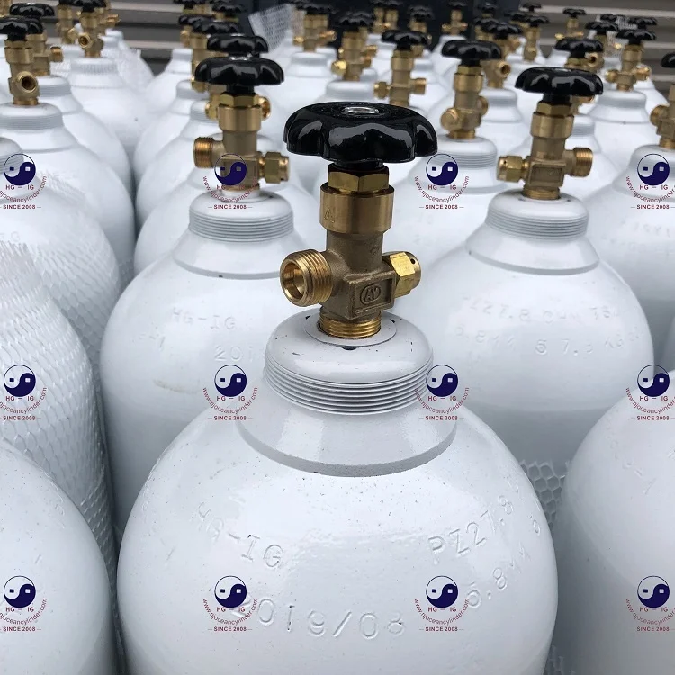 HG-IG10L Medical Oxygen Cylinder,Oxygen Gas Cylinder with Pressure Regulator For sale