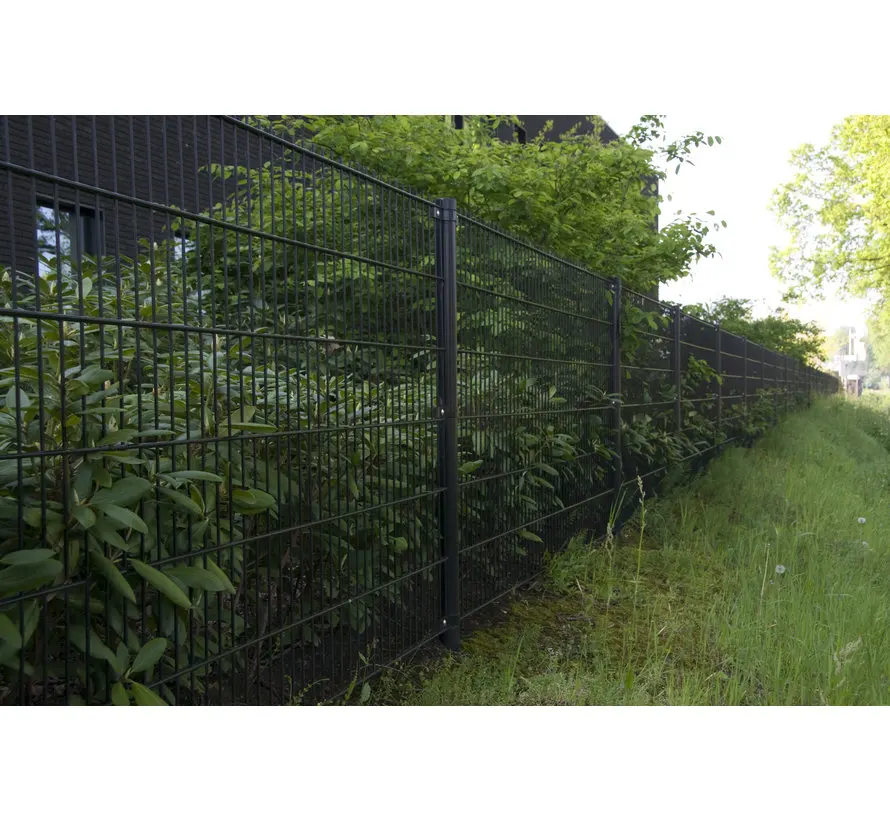 Anping Factory Galvanized Painted 868 / 656 Wire Double Rod Mat Fences