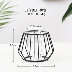 Nordic simple gold geometric iron hydroponic metal vase living room table top decoration glass flower vase ornaments