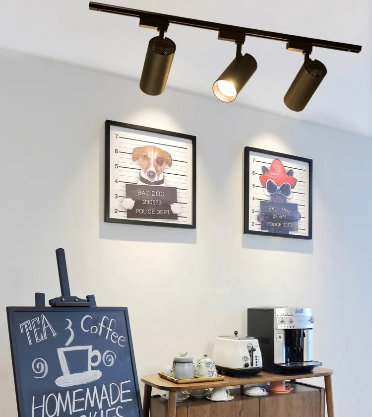 12W 20W 30W 40W COB Led Tracklight Shop Focus Lamp Rail Spot Lighting Fixtures Spotlights Linear Magnetic Rail Tracking Lamp