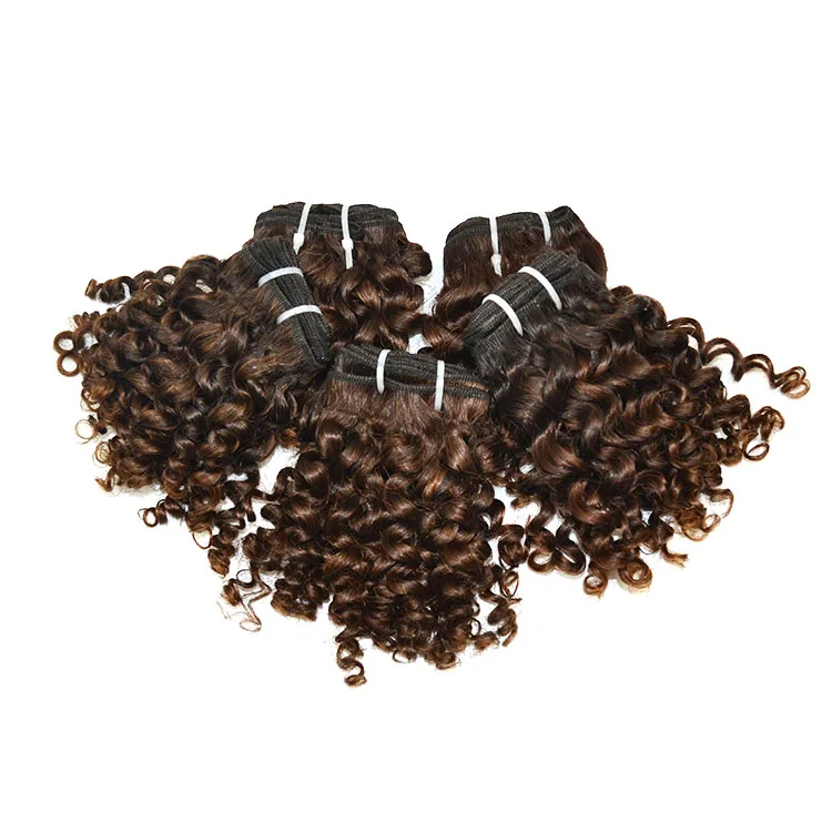 
High Quality Virgin Mayanmar Cuticle Aligned Burmese Raw Hair 5C Afro Kinky Curly Human Hair 