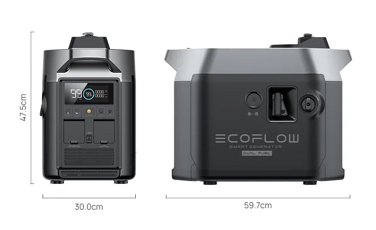 Двухтопливный умный генератор ECOFLOW сжиженный бензин 220 В высокоэффективный выходной RV уличный