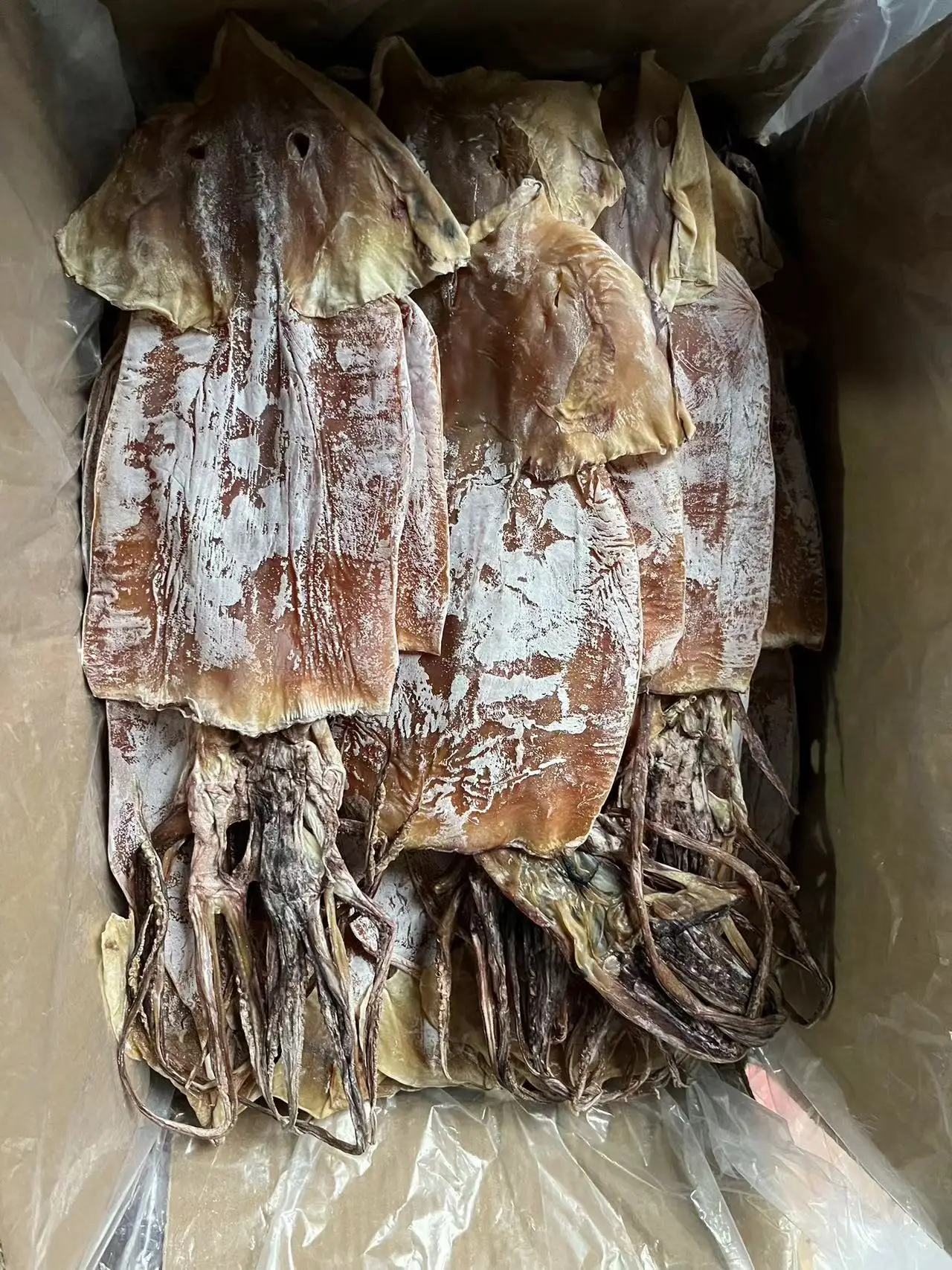 dried dosidicus gigas squid Factory price skin off  dried  peru squid 6- 8 pcs per kg