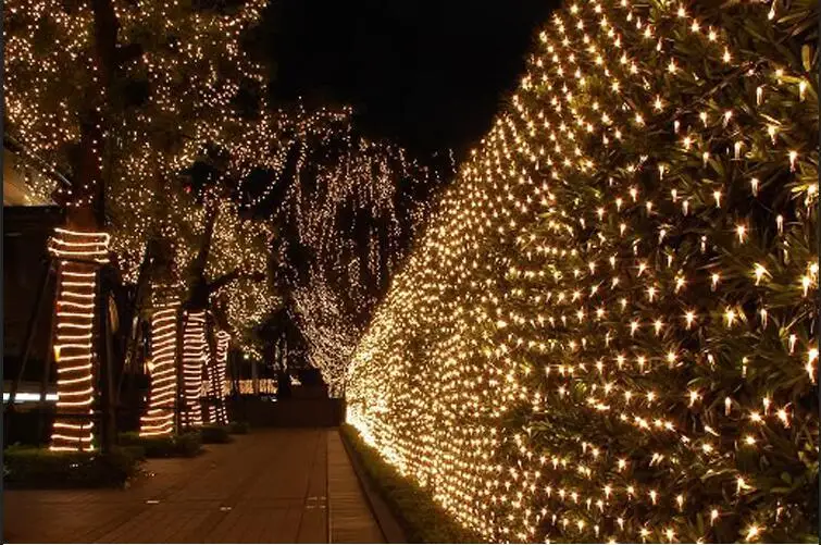 220v led net light.jpg