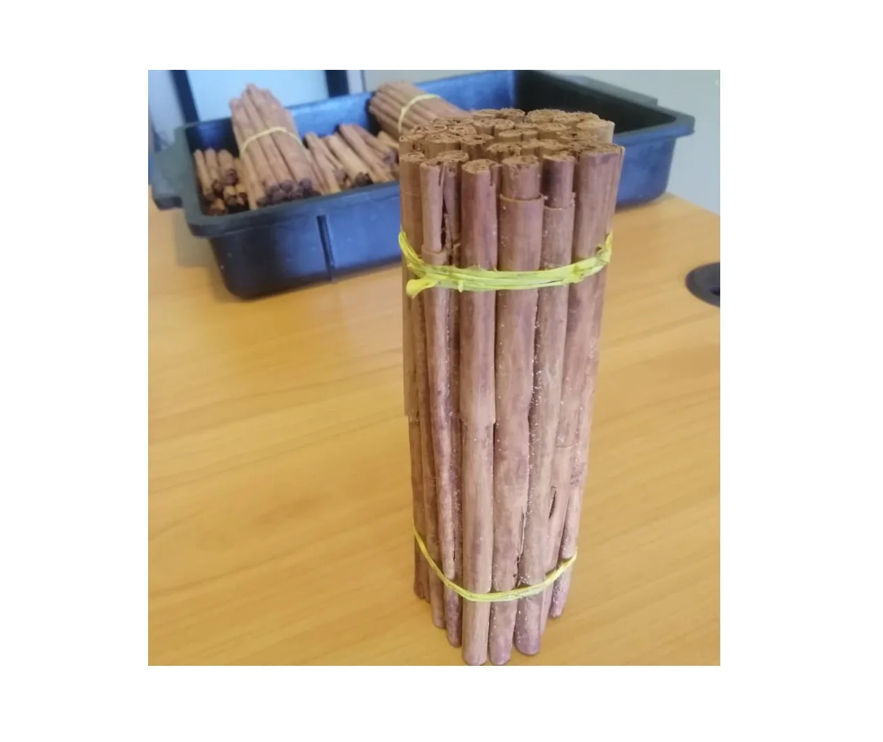 Quality Ceylon Cinnamon Stick Good Price For Wholesale From Sri Lanka