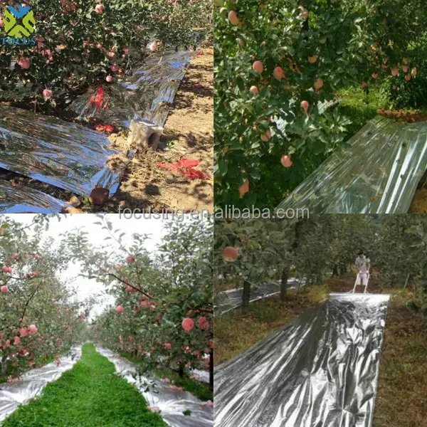 Пластиковая пленка металлизированная PE orchard Отражающая в рулоне
