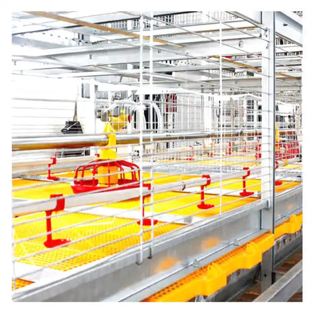 Chicken Cage Broiler Floor Raising Equipment Suppliers Automatic Chicken Feeding System