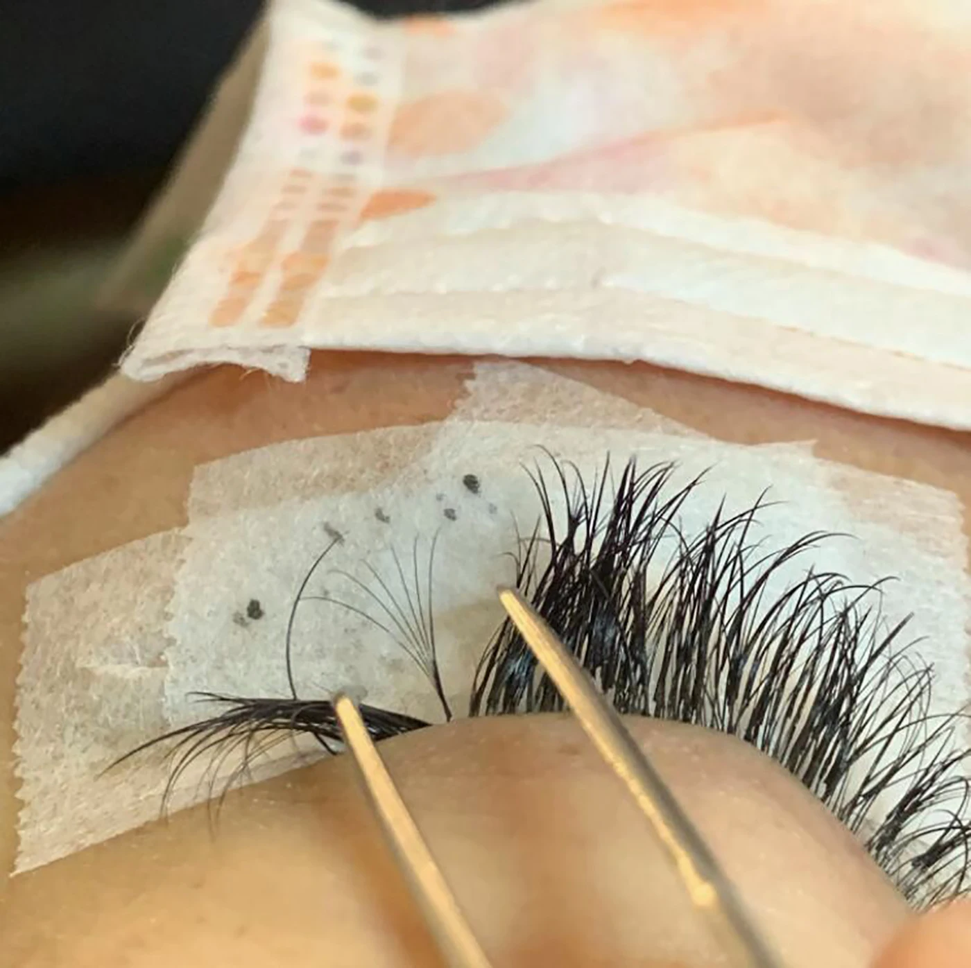 Korea PBT Material Silk Lashes Extension Flat Ellipse Eyelashes