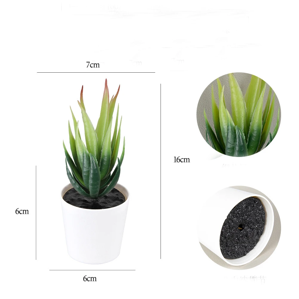 Haworthia Reinwarddi Bonsai Plant In Stocks Home Decor Nordic Pots Plastic Plants Succulents Bonsai Frosted Pots