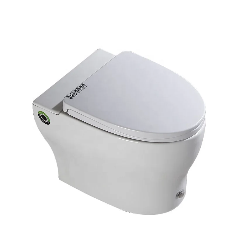 2021 New Deside Small Bathroom Ceramic Tankless Concealed p-trap Cistern Pulse Toilet Closet