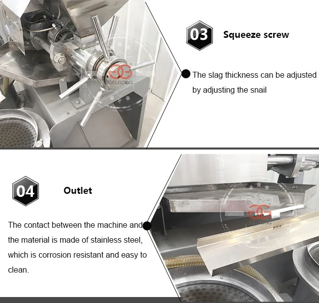 300-500Kg/H Safflower Oil Press Niger Grape Seed Oil Extraction Machine