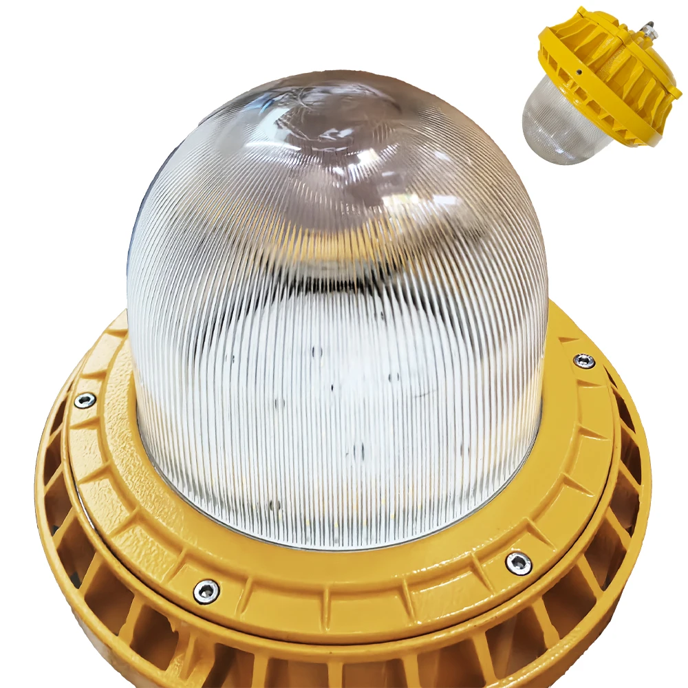 ATEx IP66 WF2 LED Explosion Proof Lamp Wall Mount Ceiling Recessed Energy-saving Source Supplier EX IIB Maintenance-free Light