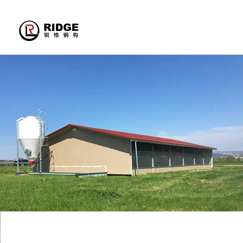 Fast assemble construction hen rooster steel frame house prefab poultry barn modular building