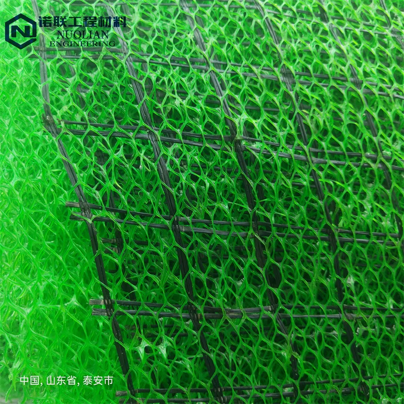 3D Mesh Geomat and Geonet /Turf Protection Geomat/Geocomposite Drainage Layer Geomat for Reinforcing Wire Geomat geo material