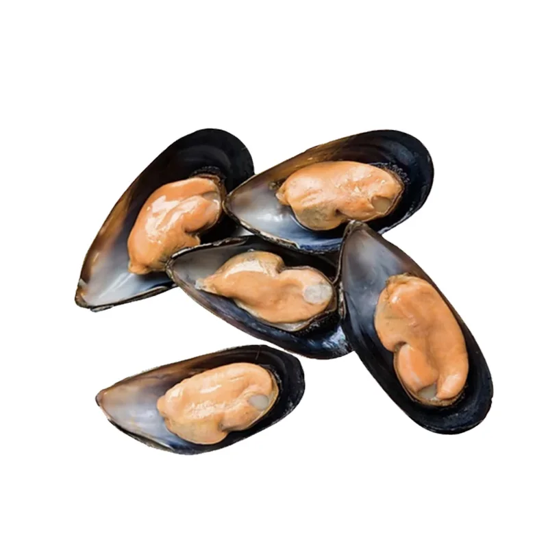 Frozen Half Shell Mussel