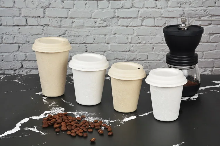Eco friendly disposable  biodegradable compostable bagasse sugarcane pulp paper takeaway coffee or water drinking cup with lid