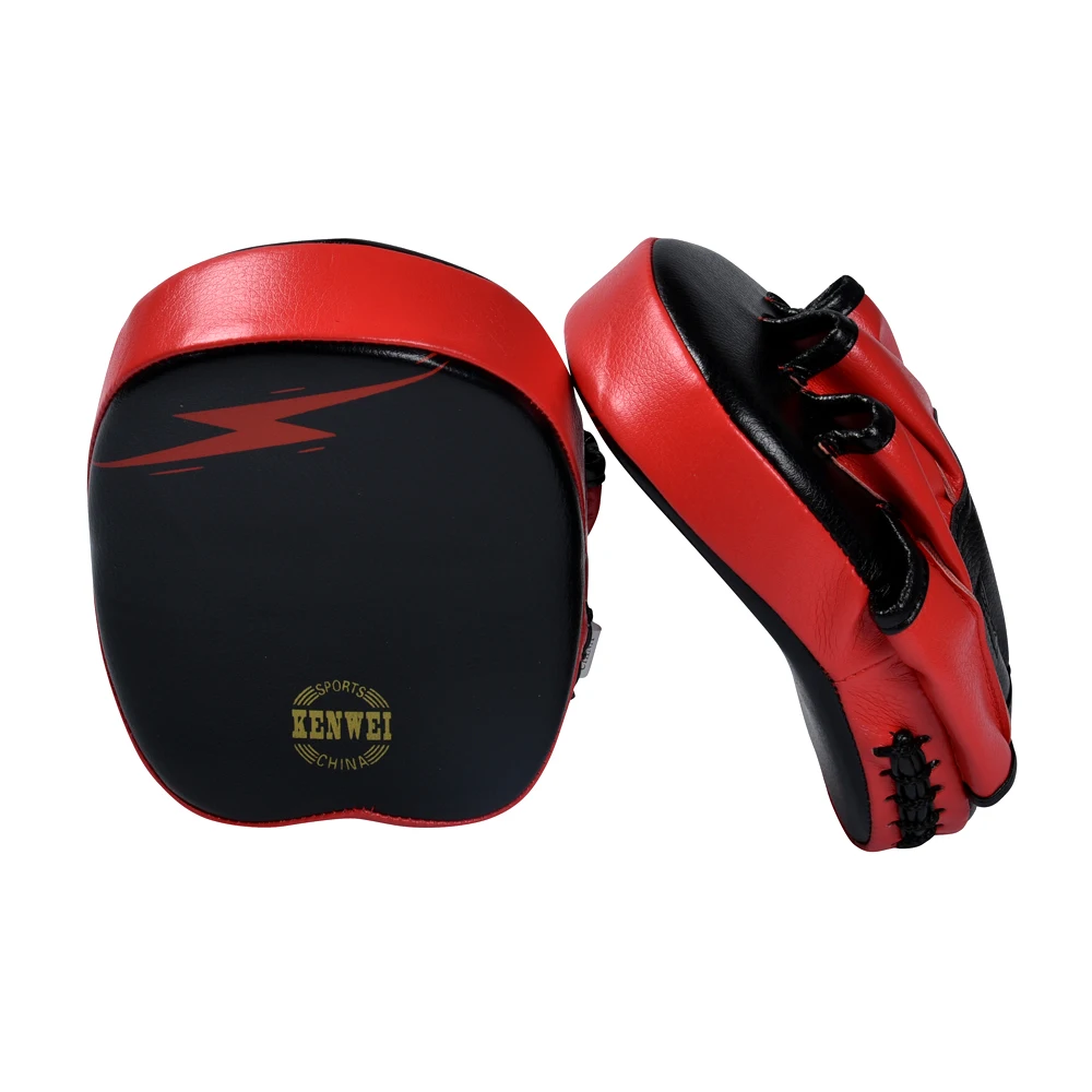 Small Taekwondo Double Kicking Punching Pad Target