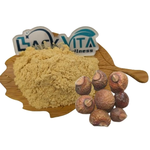 Soapnut saponin 90 % Soapnut Extract