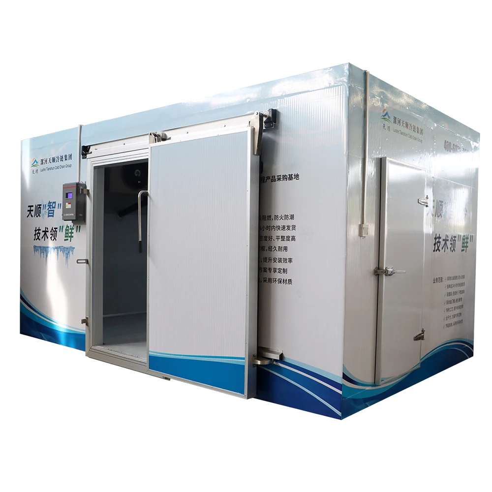 Commercial Hotel Cold Storage Refrigerator Meat Freezer Cold Room Refrigerator