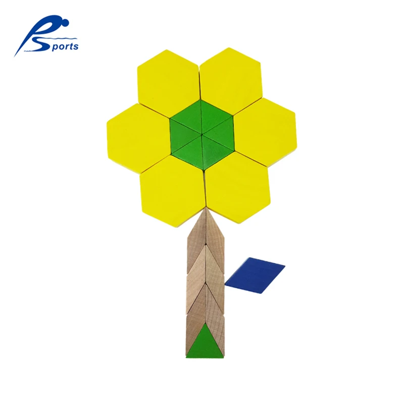 
Educational Geometry Toy Sets Colorful Solid Wood Stacking Game Building Blocks 