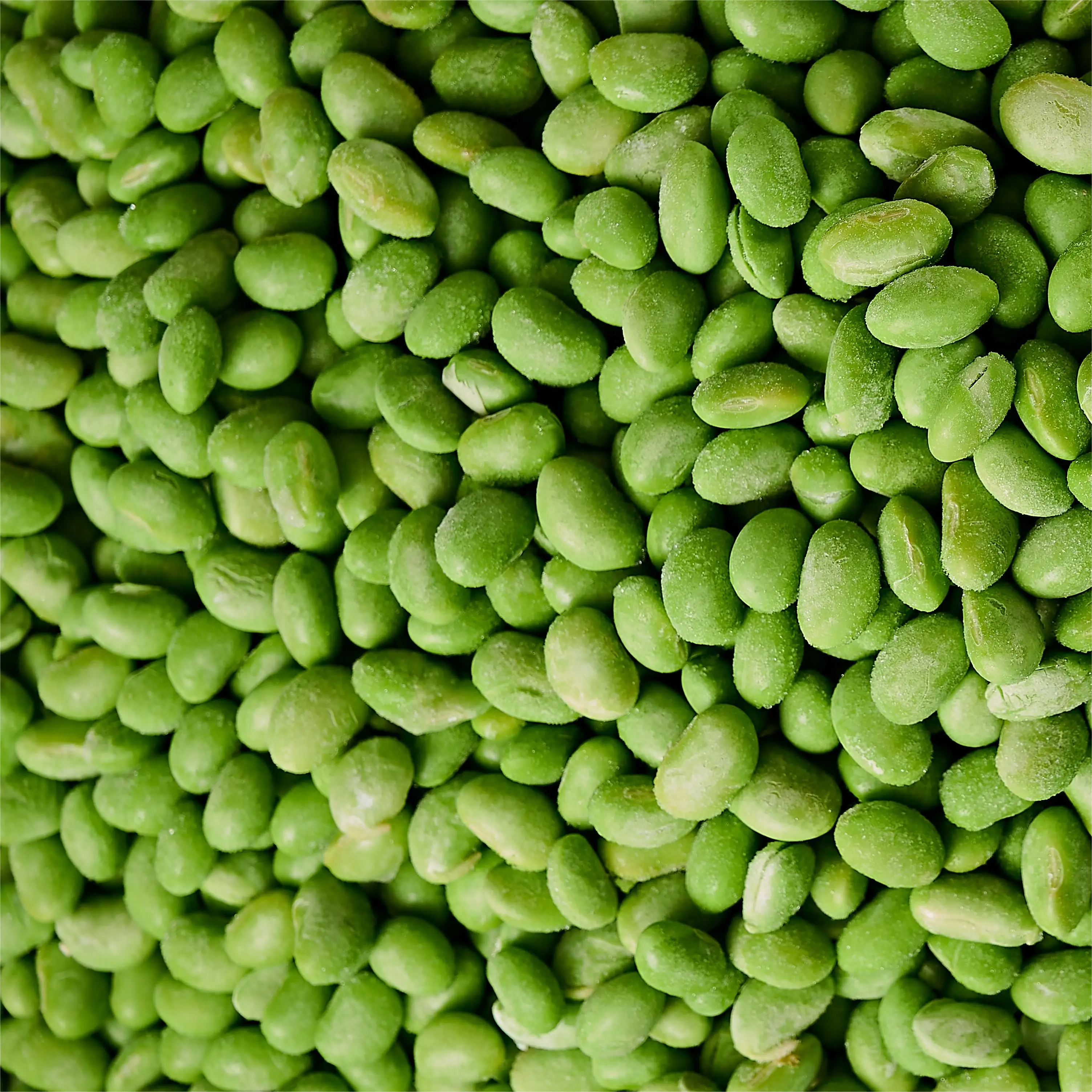 china factory direct sales frozen edamame kernels wholesale and export of frozen edamame kernels IQF made in China