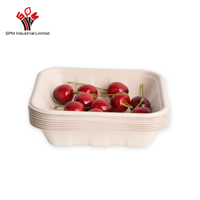 Wholesale Mushroom Biodegradable Packing Fruit Food Tray  Package