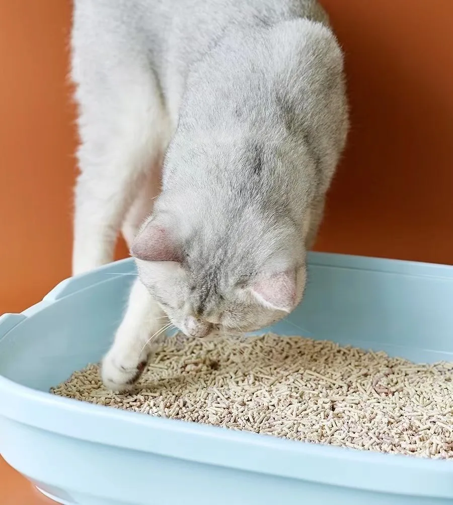 Tofu cat litter pellet mill environmentally friendly tofu cat litter pellet making machine